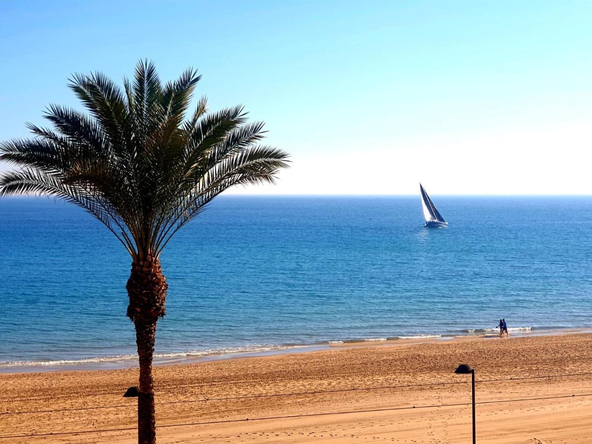 Jardin Playa San Juan Διαμέρισμα Αλικάντε Εξωτερικό φωτογραφία